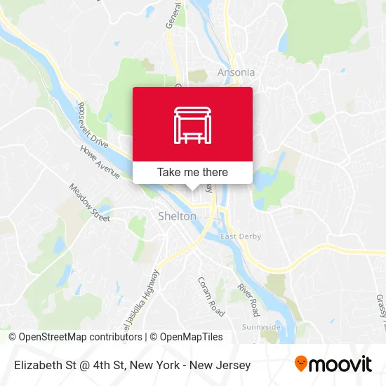 Elizabeth St @ 4th St map
