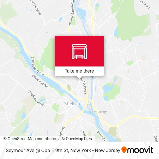 Seymour Ave @ Opp E 9th St map