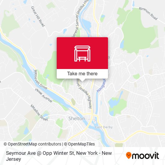 Seymour Ave @ Opp Winter St map