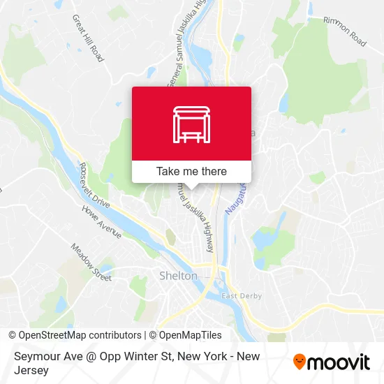 Seymour Ave @ Opp Winter St map