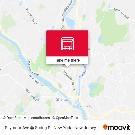 Seymour Ave @ Spring St map
