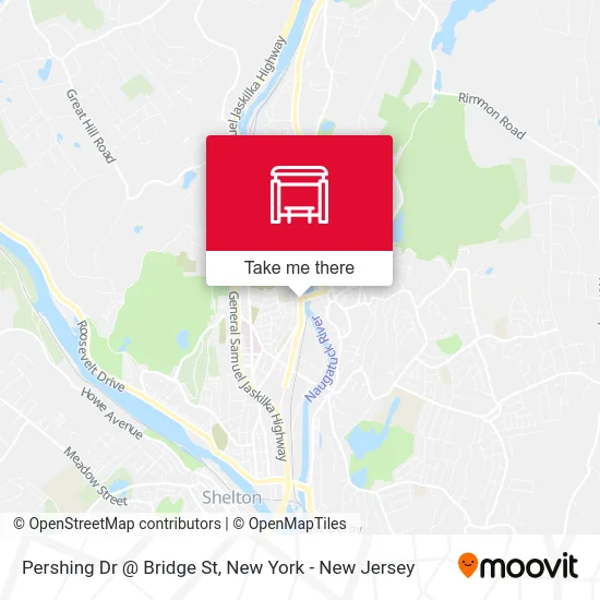 Pershing Dr @ Bridge St map