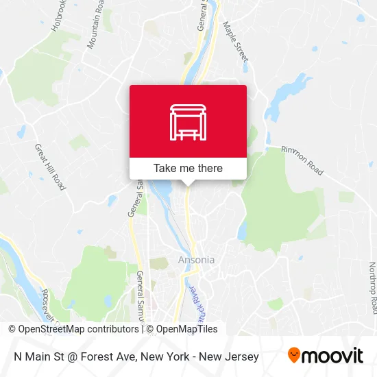 N Main St @ Forest Ave map
