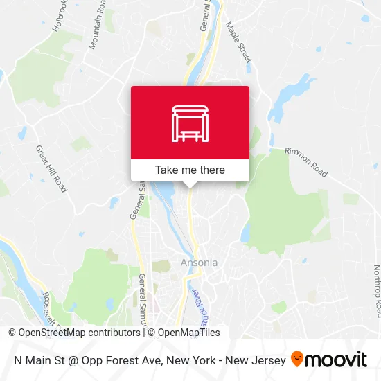 N Main St @ Opp Forest Ave map