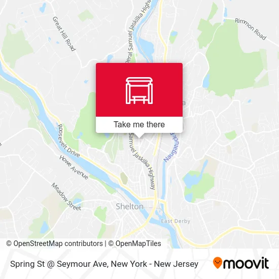 Spring St @ Seymour Ave map
