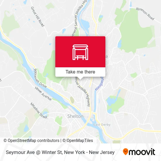 Seymour Ave @ Winter St map