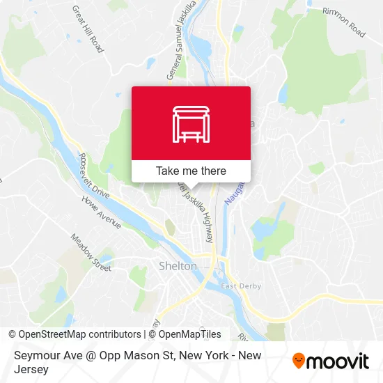 Seymour Ave @ Opp Mason St map