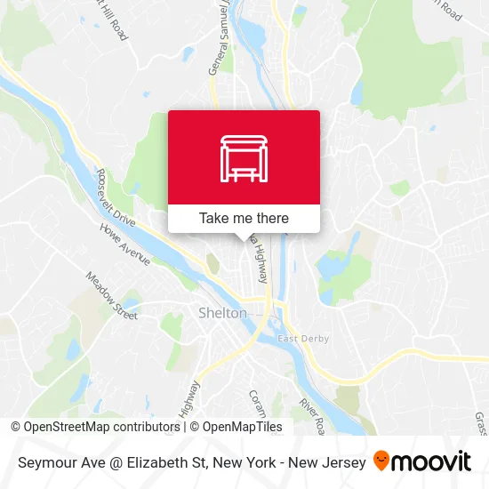 Seymour Ave @ Elizabeth St map