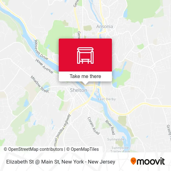 Elizabeth St @ Main St map