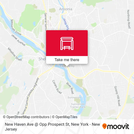 New Haven Ave @ Opp Prospect St map