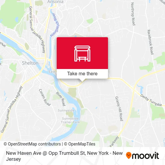 New Haven Ave @ Opp Trumbull St map