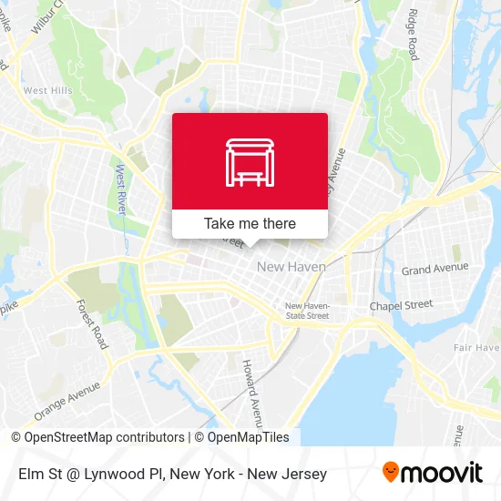 Elm St @ Lynwood Pl map