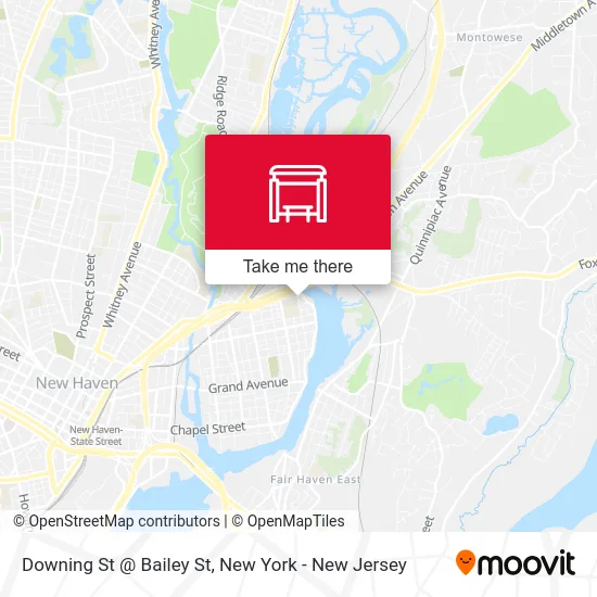 Downing St @ Bailey St map