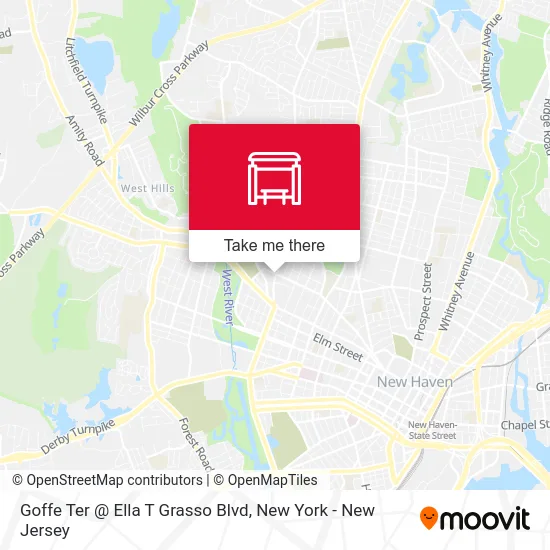 Goffe Ter @ Ella T Grasso Blvd map