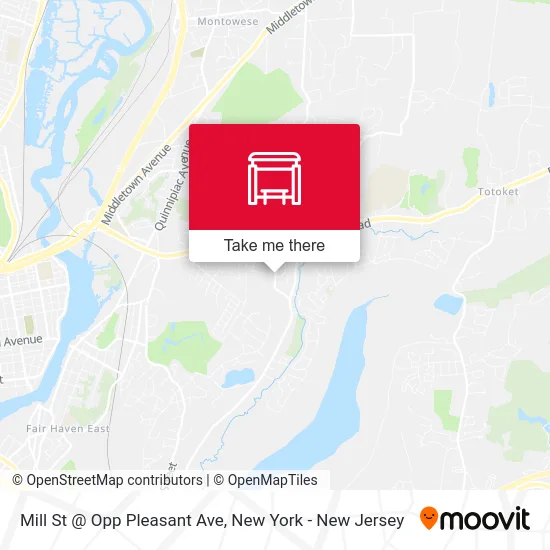 Mill St @ Opp Pleasant Ave map