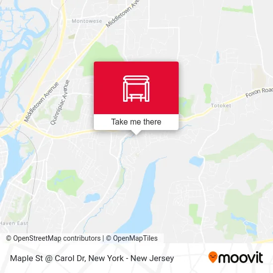 Maple St @ Carol Dr map