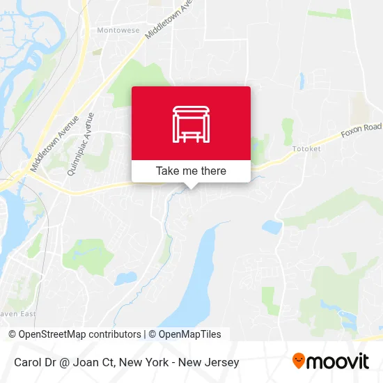 Carol Dr @ Joan Ct map