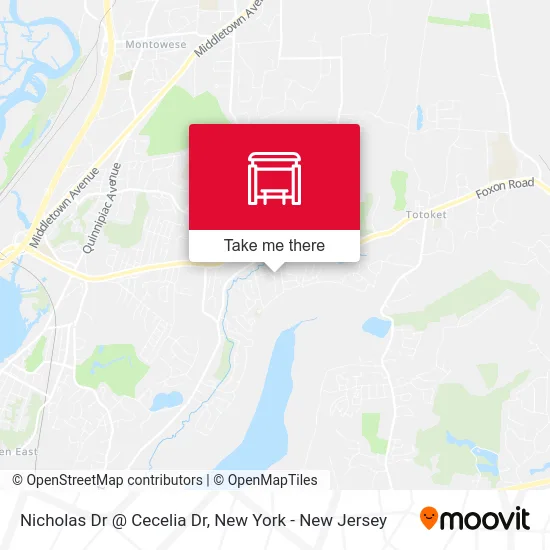 Nicholas Dr @ Cecelia Dr map