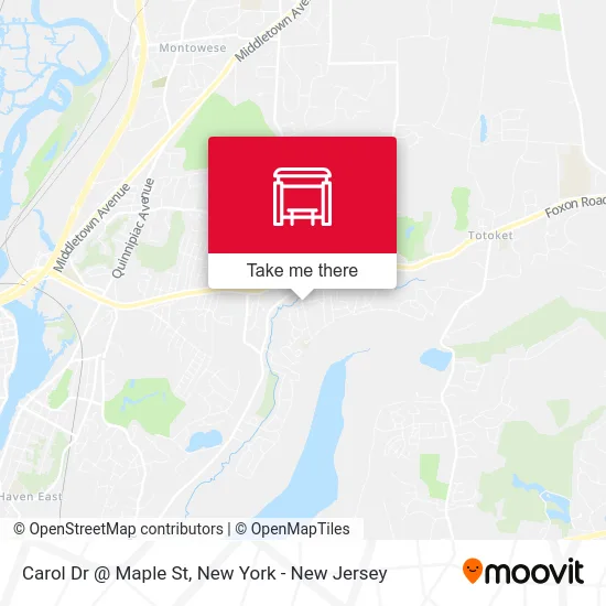 Carol Dr @ Maple St map