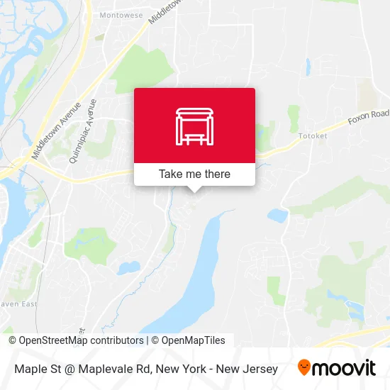 Maple St @ Maplevale Rd map