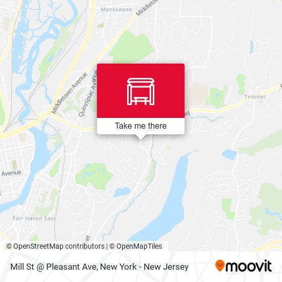 Mill St @ Pleasant Ave map