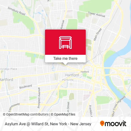 Mapa de Asylum Ave @ Willard St