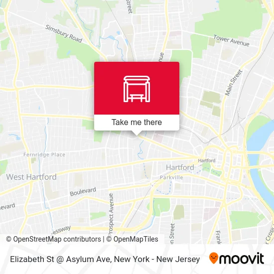 Elizabeth St @ Asylum Ave map