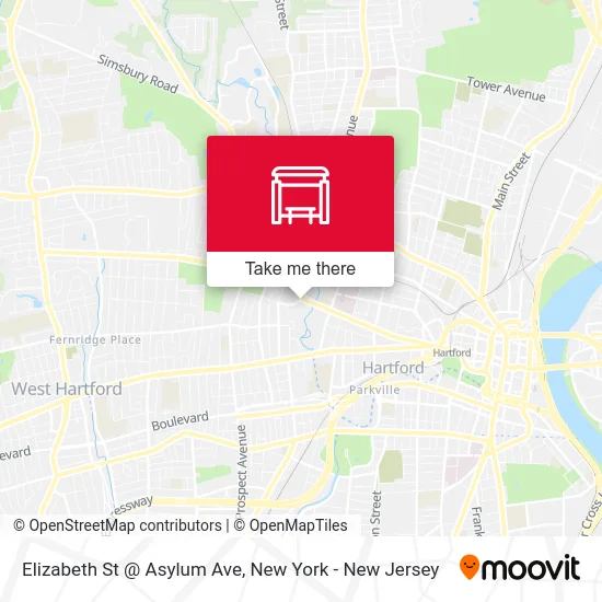 Elizabeth St @ Asylum Ave map