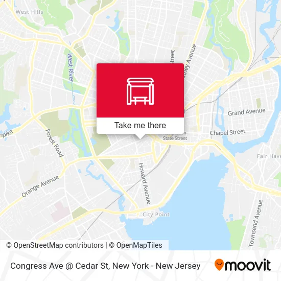 Congress Ave @ Cedar St map