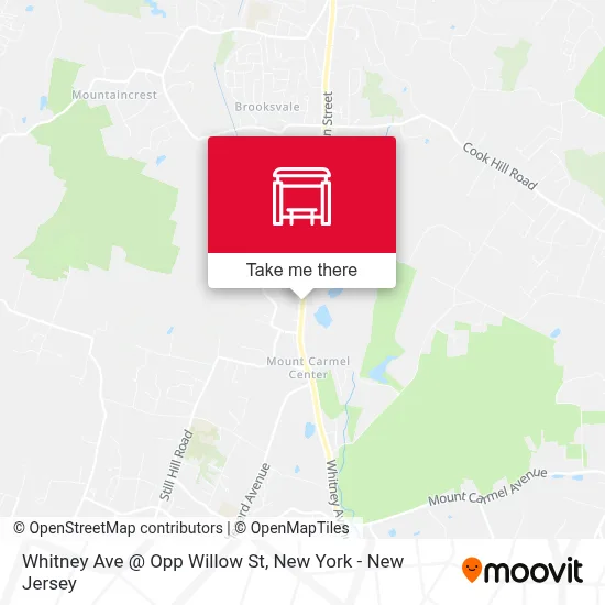 Whitney Ave @ Opp Willow St map