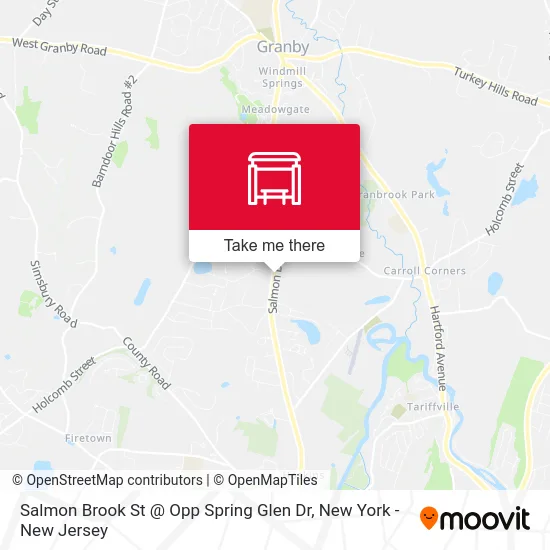 Salmon Brook St @ Opp Spring Glen Dr map