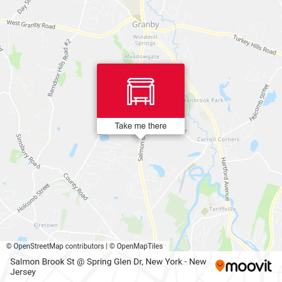 Salmon Brook St @ Spring Glen Dr map
