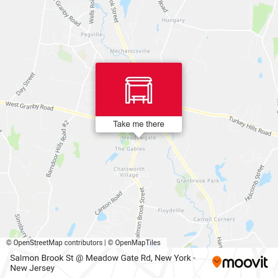 Salmon Brook St @ Meadow Gate Rd map