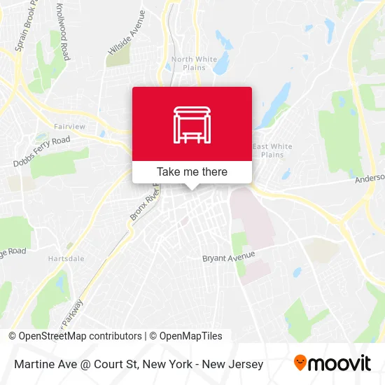 Martine Ave @ Court St map