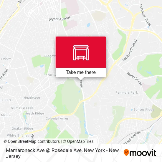 Mamaroneck Ave @ Rosedale Ave map