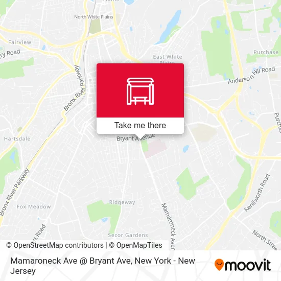 Mamaroneck Ave @ Bryant Ave map
