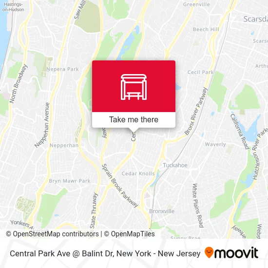 Central Park Ave @ Balint Dr map