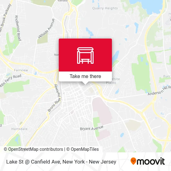 Lake St @ Canfield Ave map