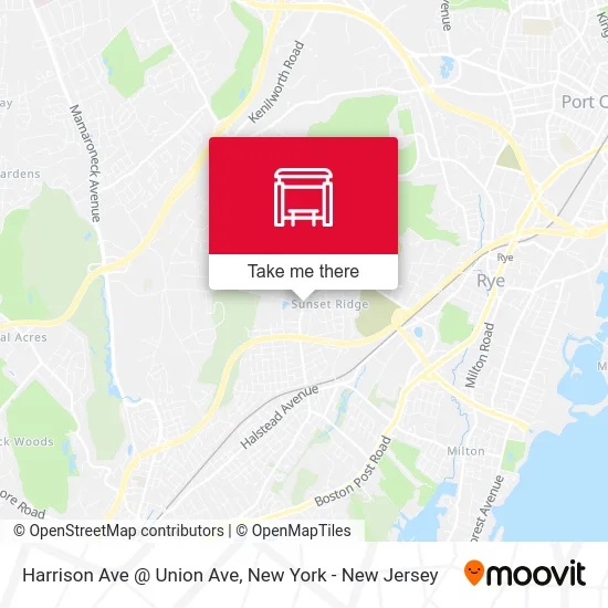 Harrison Ave @ Union Ave map