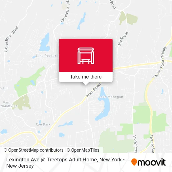 Lexington Ave @ Treetops Adult Home map