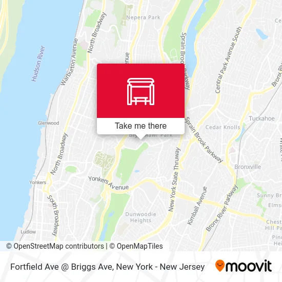 Fortfield Ave @ Briggs Ave map