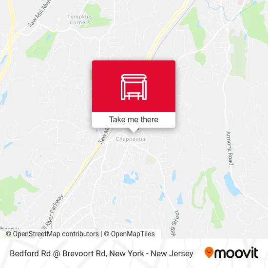 Bedford Rd @ Brevoort Rd map
