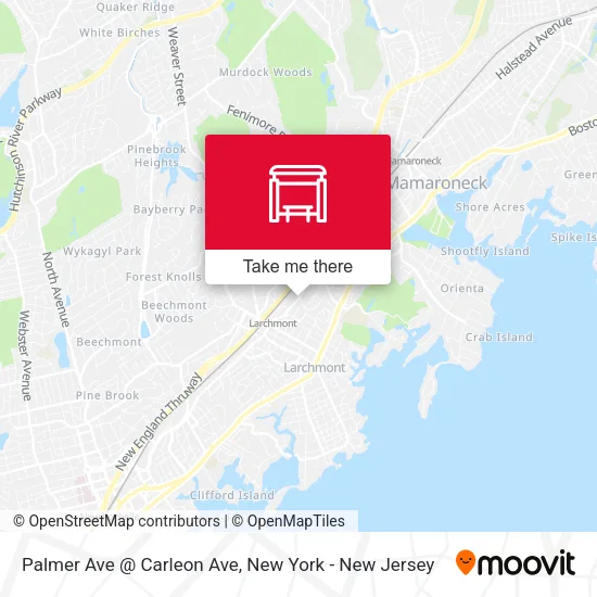 Mapa de Palmer Ave @ Carleon Ave