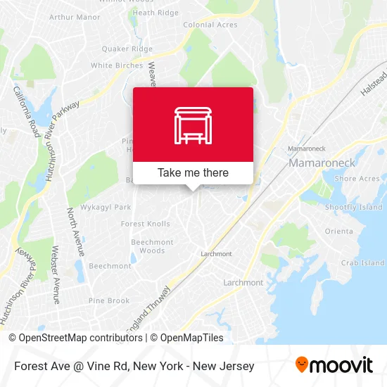Forest Ave @ Vine Rd map