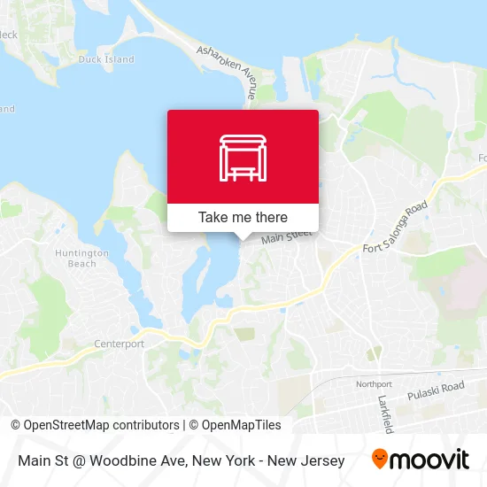 Main St @ Woodbine Ave map