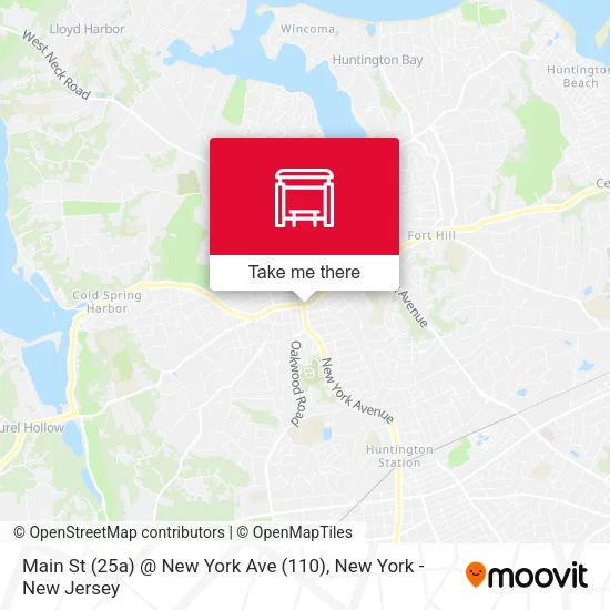 Main St (25a) @ New York Ave (110) map