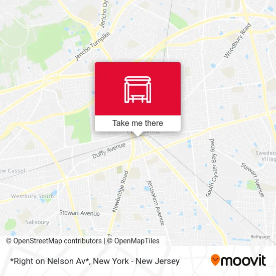 *Right on Nelson Av* map