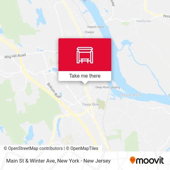 Main St & Winter Ave map