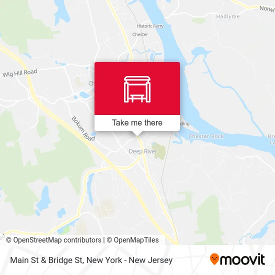 Main St & Bridge St map