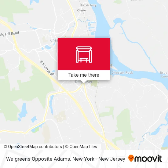 Walgreens Opposite Adams map